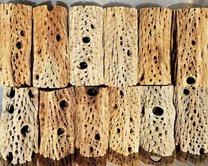 3-48 Inch All Natural Teddy Bear Cholla Wood Extra Hollow Large Untreated Organic Aquarium Driftwood Decoration Chew Toy Shrimp Crab Pleco Cichlid Nano Tank Birds 1 or 5 Pieces (1 Piece, 48 inch) - size: Extra large 3in to 4in diameter