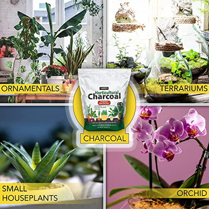Harris Horticultural Charcoal, Premium Biochar Soil Amendment for Plants and Terrariums, 2qt