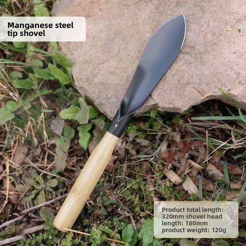 Mini Garden Tool Set 3 Piece, Iron Succulent Tools with Wooden Handles, Hand Trowel Transplant Shovel and Rake Kit for Planting, Repotting, Weeding, Indoor Outdoor Gardening