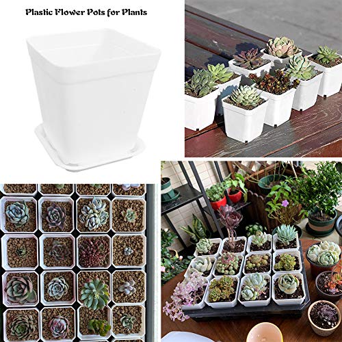 24 Pack 3 Inch White Square Plastic Plant Pots with Saucers,Nursery Seedling Pots with Drainage Hole,Small Planter Containers for Succulents,Flowers,Indoor Outdoor Garden,Home Office Balcony Decor - size: 24 Pack White