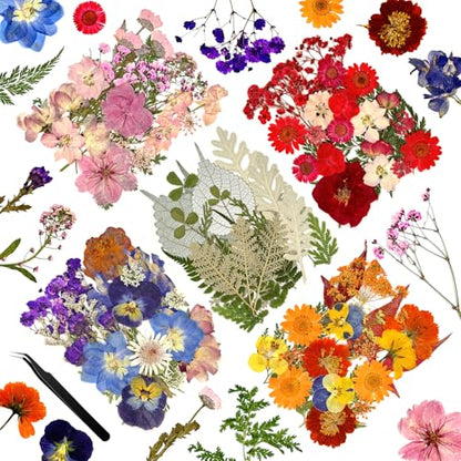 110Pcs Dried Flowers Pressed Flowers, Dry Flowers Leaves Bulk for Crafts - color: Pink Purple Red Yellow