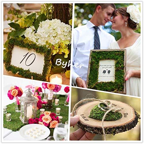 Dried Moss Mat for Wedding Birthday Party Fairy Garden Decorations, Dark Green (Green - 14" X 9")