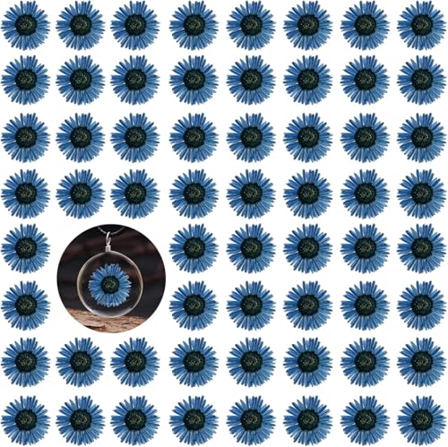 ALJ Blue Dried Pressed Flowers for Resin, 60PCS Natural Real Dry Needle Chrysanthemum Flowers for Resin Mold Jewelry Craft DIY Candle Making Phone Case House Decor - color: Needle Chrysanthemum-Blue