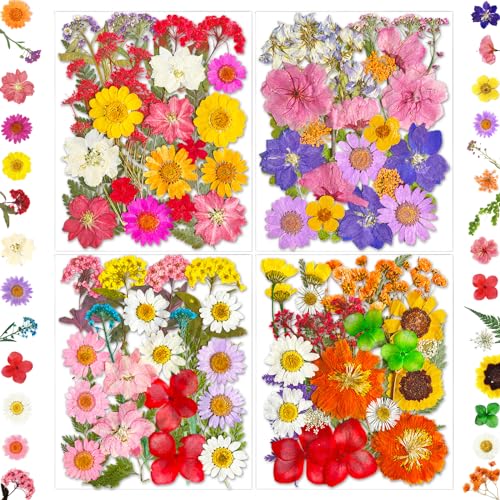 MIKIYA 101Pcs Pressed Dried Flowers for Resin Molds, Real Natural Bulk Dry Floral Leave for DIY Art Crafts, Epoxy Jewelry, Candle, Soap Making, Nails Decors - color: Colorful