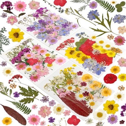 240 Pcs Dried Pressed Flowers for Resin Crafts, Real Natural Pressed Flowers and Leaves Kit Butterfly Stickers Vacuum Sealed Dry Flowers for DIY Epoxy Resin Jewelry Molds, Candle Soap Making, Nail Art - color: Brilliant 240pcs