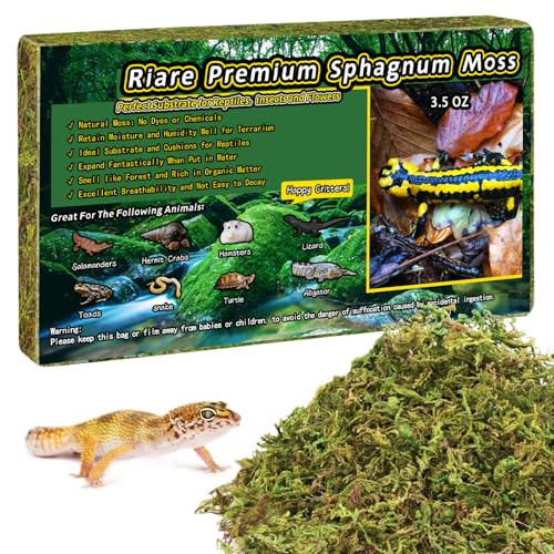 Riare 3.5oz Natural Sphagnum Moss for Reptiles, Terrarium Substrate Bedding | High Expansion, Moisture Retention, Helps Shedding, Long Fibered Dried Moss for Leopard Gecko, Snake, Frog, Turtle - color: 3.5 OZ