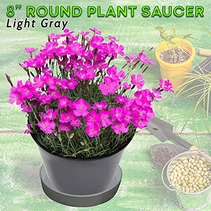 Round Composite Plant SaucerTray (2Pack) 60percent Recycled Plastics & 40percent StoneWood Powder Water Catcher Recycle at End of Life Water Flowers, Light Gray, 8In - color: Light Gray, size: 8"