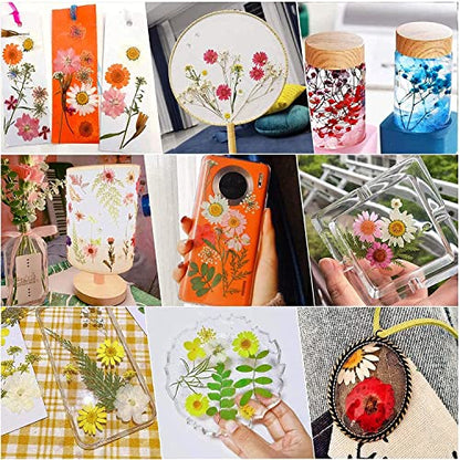 Cayway 42 Pcs Real Pressed Flowers Dry with Tweezers Set, Dried Pressed Flowers Colorful Real Pressed Flowers for Resin Scrapbooking DIY Art Crafts, Epoxy Resin Jewelry, Soap Making - color: 1 Packs Style a