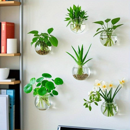 Transparent Glass, Wall Hanging, Hydroponic Terrarium, Multiple Sizes, Vase