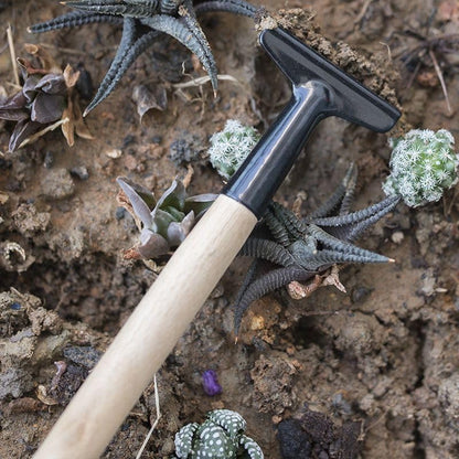 Mini Garden Tool Set 3 Piece, Iron Succulent Tools with Wooden Handles, Hand Trowel Transplant Shovel and Rake Kit for Planting, Repotting, Weeding, Indoor Outdoor Gardening