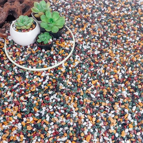 CJGQ 18lb Aquarium Gravel for Plants, 1/4Inch Fish Tank Gravel for Succulent Cactus and Bonsai, Decorative River Rocks Pebbles for Gardening, Flower Pots, Landscaping,Terrarium - color: Mixed Pebble, size: 18 lb (1/4 in)