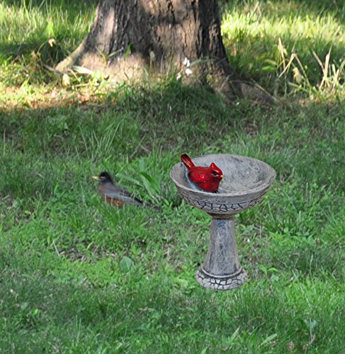 G & F Products MiniGardenn 10027 Fairy Garden Cardinal Birdbath Pick