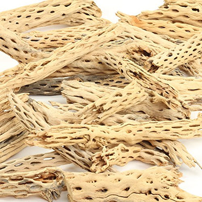 Koyal Wholesale Natural Cholla Wood Aquarium Branches, Airplants Decor, Reptile Perch, Untreated Cholla Wood Piece, Aquarium Driftwood Leopard Gecko Tank & Hermit Crab Accessories (2lb Bag) - size: 2lb Bag