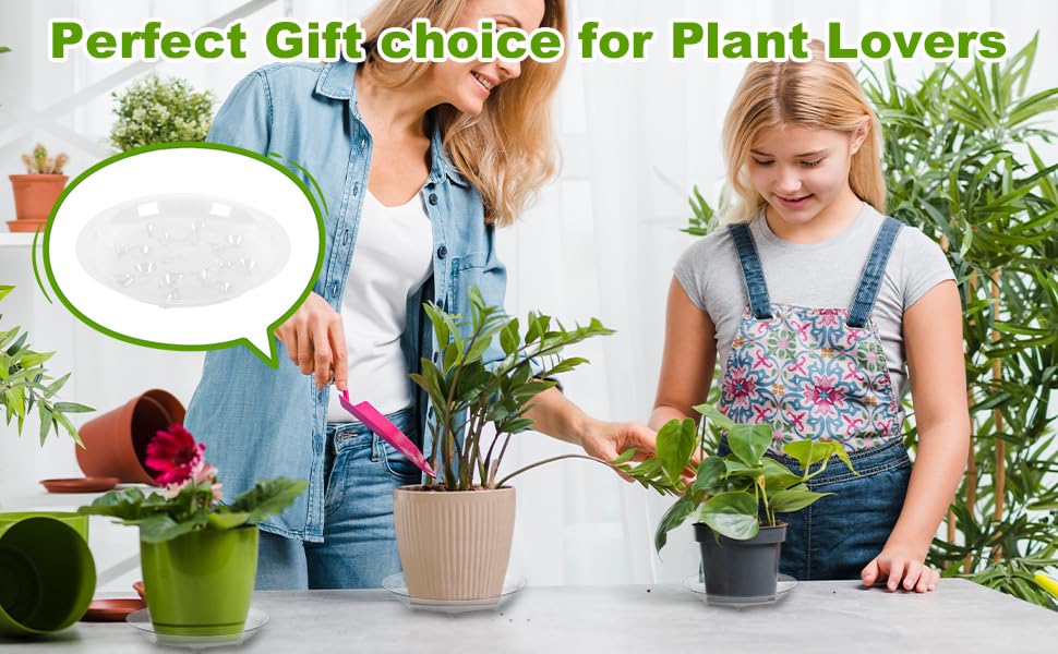 6 Pack 12 Inch Heavy Duty Clear Plastic Plant Saucer Sturdy Pot Tray Plant Drip Trays for pots,Plant Water Catcher Tray,Flower Pot Saucer Water Drainage Tray Floor Protector (12 Inch) - size: 12 inch