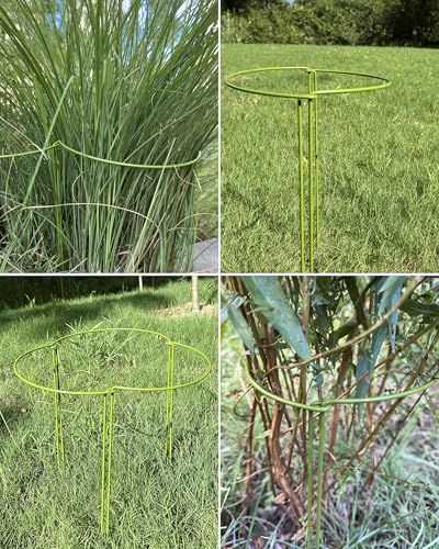 10-Pack Plant Support Stakes, Heavy Duty Steel Plant Stakes as Monstera Plant Support & Peony Cages, Metal Garden Stakes for Indoor Outdoor Plants, Snake Plant & Vine Support, 10" W x 15.8" H