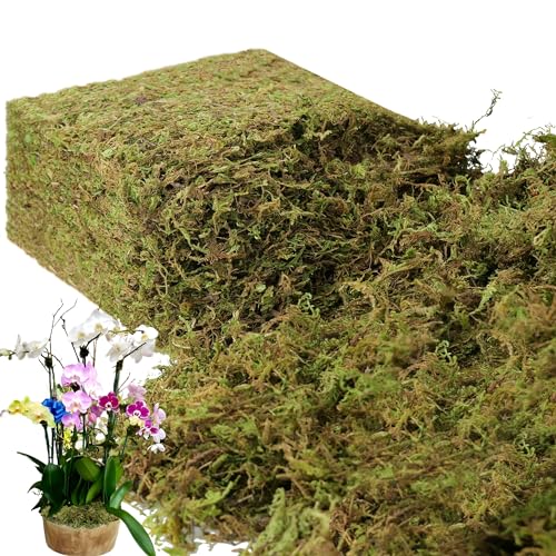 2.2LB Large Capacity Fake Moss for Plants Indoor, 35 OZ Fresh Green Moss for Potted Plants Craft Moss for Home & Office Decor Fairy Garden Decoration (Fresh Green - 992gr)