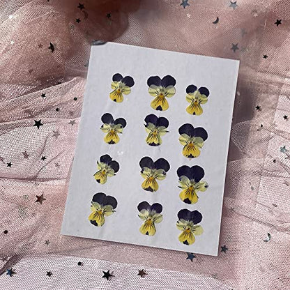 YUNZHI Natural Pansy Dried Pressed Flowers for Resin, Dry Flower for Candle,Epoxy Resin,Soap Making,Scrapbooking,DIY Art Crafts,Painting 12pcs/Pack (Pansy Yellow Purple) - color: Pansy Yellow Purple