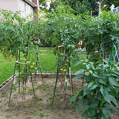 Garden Plant Stakes, 57 Inch (Approx 5Ft) Steel Tomato Stakes, 25 Pack - size: 57 Inch