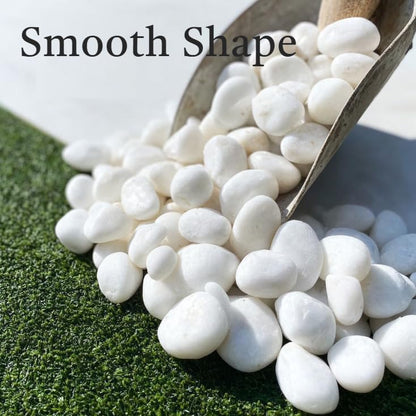 20lbs White River Rocks for Landscaping - 7Hour Tumbled, Ultra Clean Pebbles - 1 Inch Natural Polished Stones for Garden, Indoor Plants, Aquarium, Vase Filler