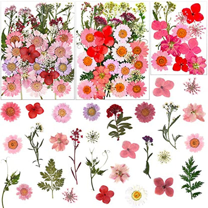 83 Pcs Pink Real Dried Pressed Flowers Natural Leave Petals for DIY Resin Molds Candle Jewelry Nail Crafts - color: Pink