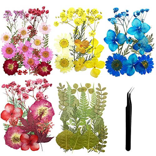 Cayway 5 Style Natural Dried Pressed Flowers and Natural Dried Pressed Leaves, Natural Dry Flowers Leaves with Tweezers, Scissors for Pressed Leaf Art Craft DIY Embellishment Decorations - color: 3 Packs+1 Packs Leaves