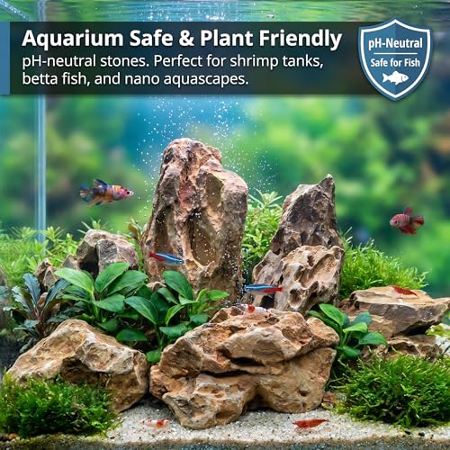Natural Dragon Stones 1lb, Aquarium Aquascaping Rocks（2-5 inch） | Aquascaping Stone for Fish Tank,Terrariums,Paludariums,Reptile Enclosures & Gardens,Landscaping Rocks - color: Dragon Stone, size: 1Lb (2-5 inch)