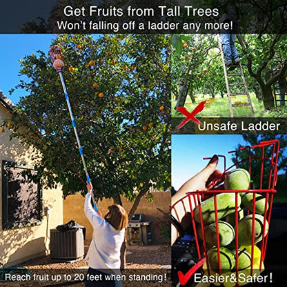 DonSail DnSail Fruit Picker Pole Tool with Basket Telescoping - Adjustable Mango Picker 35-68 inch Long Handle - Apple Orange Avocado Acorn Lemon Pear Pomelo Chery Picker for Tree - size: 35-68"