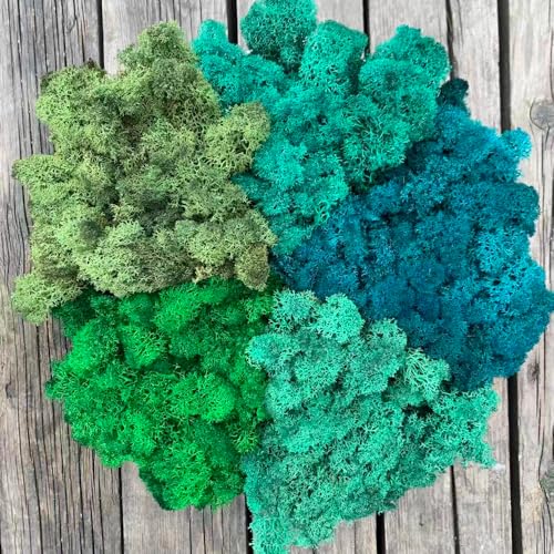 Preserved Reindeer Moss Natural Green DIY Kit Gardenning Art Wall Decor Florist Decor Easter Table Decor Wedding - color: Style-30, size: 1 lb