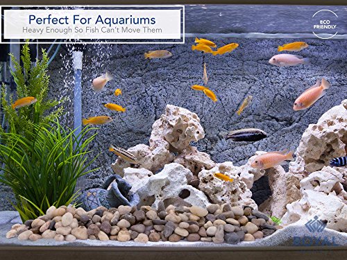 Royal Imports River Rocks, Aquarium Gravel – Natural 1"- 1.5" - 5 lbs | Decorative Ornamental Vase Filler Pebbles for Potted Plants, Terrariums, Vases, Succulents, Fish Tank Gravel, DIY & Crafting - size: Medium - 5 lbs, style: Natural