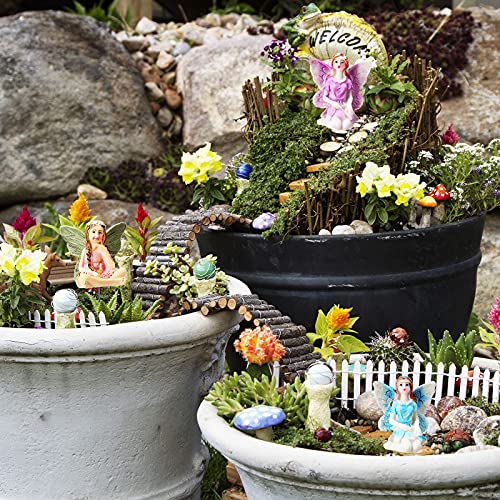Jetec 10 Pcs Fairy Garden Fairies Figurines Miniature,Classic Color - color: Classic Color