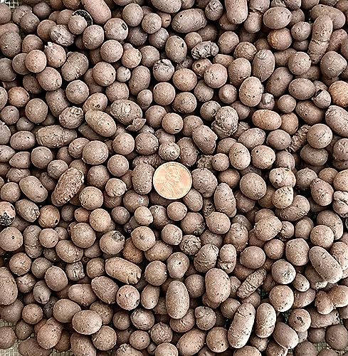 5 Liter Horticultural Ceramsite Clay Balls, Pebbles Growing Media for Hydroponic Aquaponic & Orchid - Large/Medium/Small (Small Size) - size: Small Size