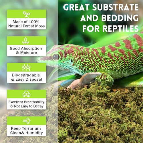 Riare 1.3lb Natural Sphagnum Moss for Reptiles, Terrarium Substrate Bedding | High Expansion, Moisture Retention, Helps Shedding, Long Fibered Dried Moss for Leopard Gecko, Snake, Frog, Turtle - color: 21 OZ