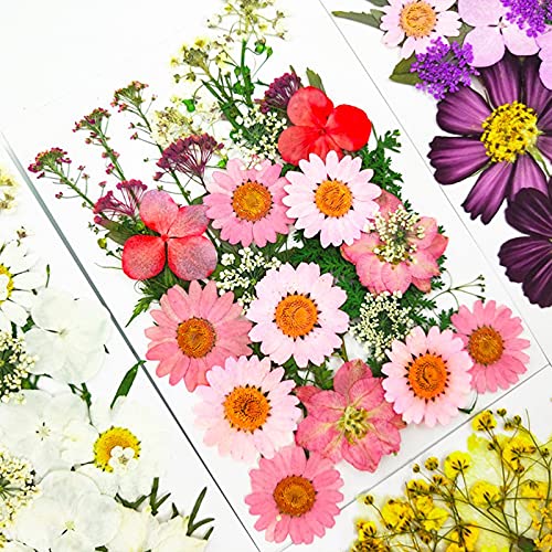 83 Pcs Pink Real Dried Pressed Flowers Natural Leave Petals for DIY Resin Molds Candle Jewelry Nail Crafts - color: Pink