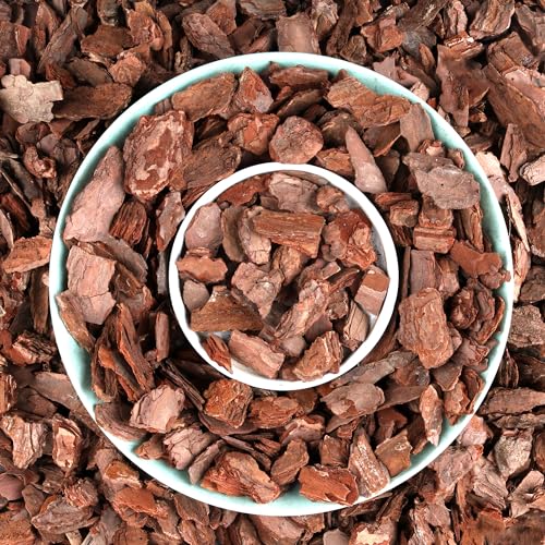 AVALUTION Orchid Potting Bark-3QT Organic Orchid Bark for Plants, All Natural Pine Bark Wood Chips for Houseplant Mulch, Orchid Plants Root Development, Mulch for Potted Plants - color: Large, size: 3 Quarts