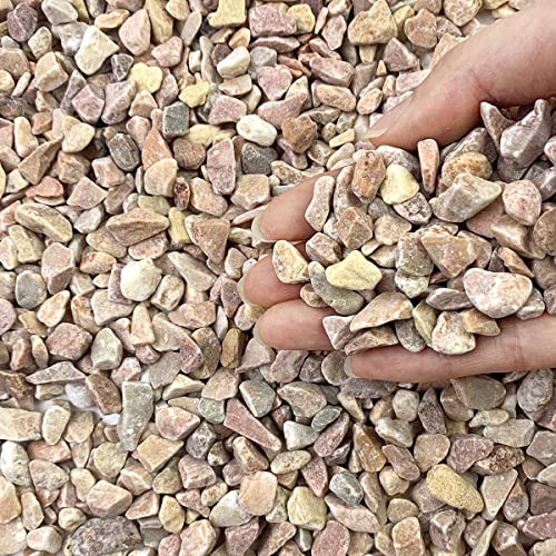 FANTIAN 2 lbs Pea Gravel for Plants, 3/8 Inch Pebbles for Vase | Peach, Tiny Stones Pebbles Rocks, Safe for Indoor Plants, Succulents, Cactus, Fish Tank, Terrarium, Landscaping - color: Peach Gravel
