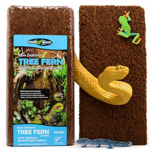 Fernwood - Vivarium and Terrarium Background Panels - 2 Pack - 12x6x0.06 - size: Regular 12x6x.06
