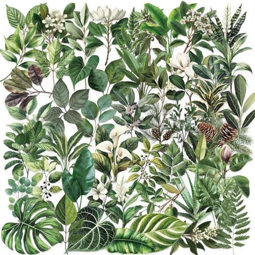 50-Piece Transparent Waterproof Greenery Plant Stickers for Scrapbooking, Journaling & Crafting – Realistic Botanical Leaves, Ferns, and Tropical Plants, Self-Adhesive Decorative Stickers - color: Green Plant