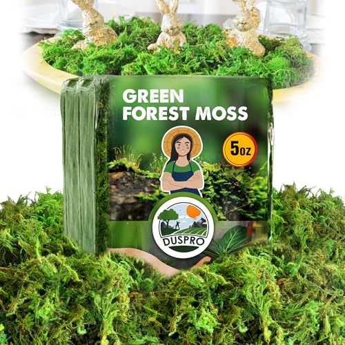 DUSPRO Green Forest Moss for Crafts, Real Dried Decorative Moss, 5 oz - color: 5 Oz