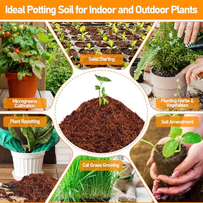 Legigo 50 Pcs 30mm Coco Coir Pellets Organic Seed Starter Soil Potting Mix - size: 30mm