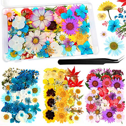110 Pcs Dried Pressed Flowers for Resin, Real Dry Daisy Flowers and Leaves Bulk with Tweezers and Box Set, Art Crafts Resin Jewelry Making Scrapbook DIY Supplies Card, Soap, Candle Making, Nail Decor