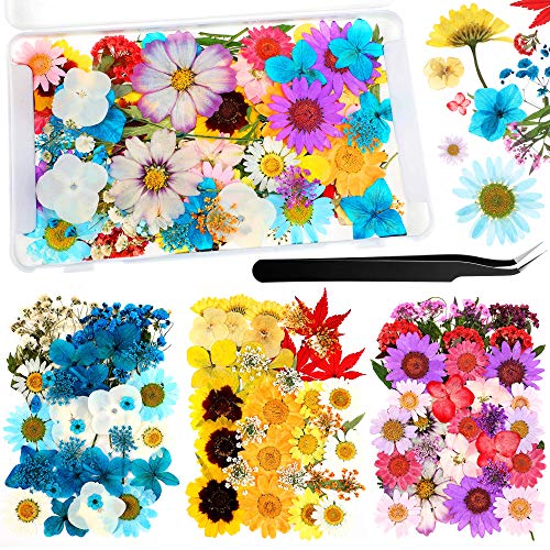 110 Pcs Dried Pressed Flowers for Resin, Real Dry Daisy Flowers and Leaves Bulk with Tweezers and Box Set, Art Crafts Resin Jewelry Making Scrapbook DIY Supplies Card, Soap, Candle Making, Nail Decor