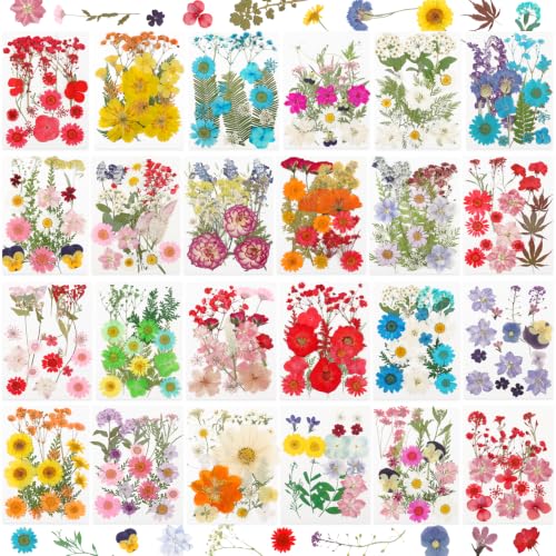 428 Pcs Dried Pressed Flowers for Resin,Real Nature Dried Flowers for Craft