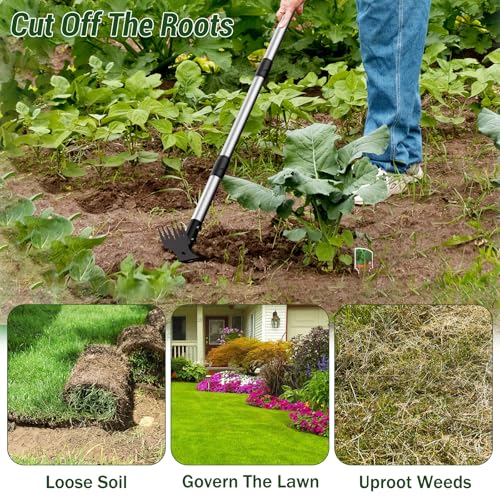 Weed Puller Tool with Long Handle 2-in-1 Garden Hoe and Weed Rake