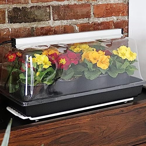 SunBlaster T5HO Mini Greenhouse Kit with NanoDome and Tray, 10 x 20 In