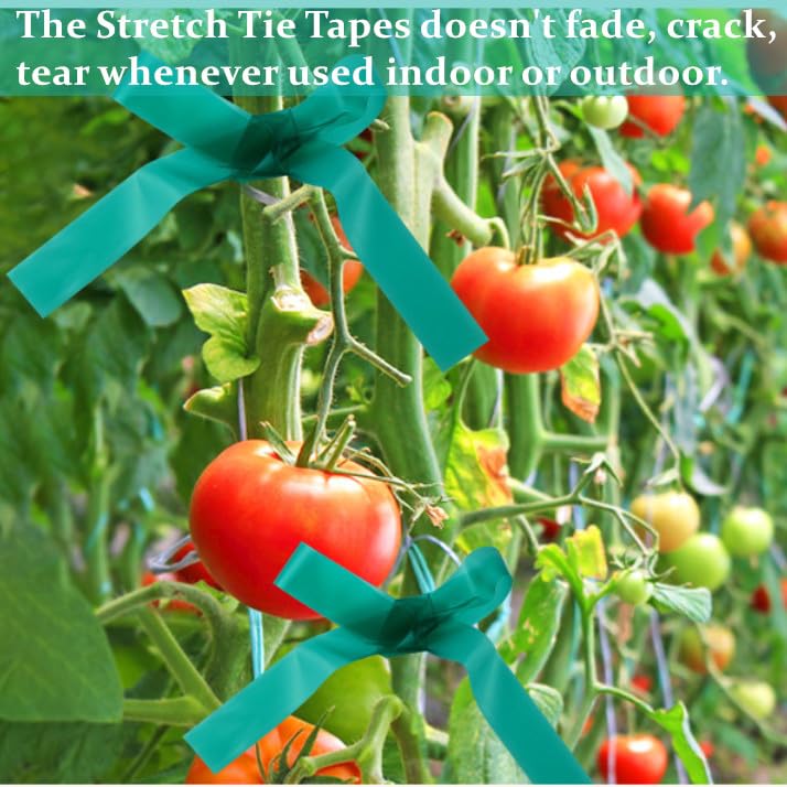 Garden Stretch Tie Tape 1" Wide 150 Feet Non-Sticky Reusable Stretchy Garden Plant Ties Thick Sturdy Stretchable Plant Tape Green Vinyl Stake Ribbon for Tomatoes, Grapes, Flowers and Trees - size: 1 inch x 1 Roll