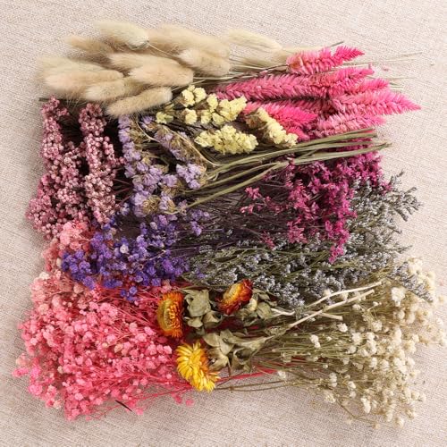 11 Kinds of Dried Flowers for Crafts Bulk DIY Natural Multi-color Wildflowers Dried Pampas Grass Lavender Forget Me Not Babys Breath with Stem Floral Arrangement Bouquets with Hemp Rope for Home Decor - color: Various Series