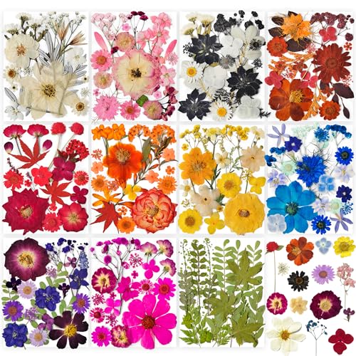 320PCS Dried Pressed Flowers Bulk for Resin, YouthBro Real Natural Pressing Flowers with Two Sheets Butterfly Stikers for Mold DIY Art Crafts,Home Décor,Cherish - color: Cherish