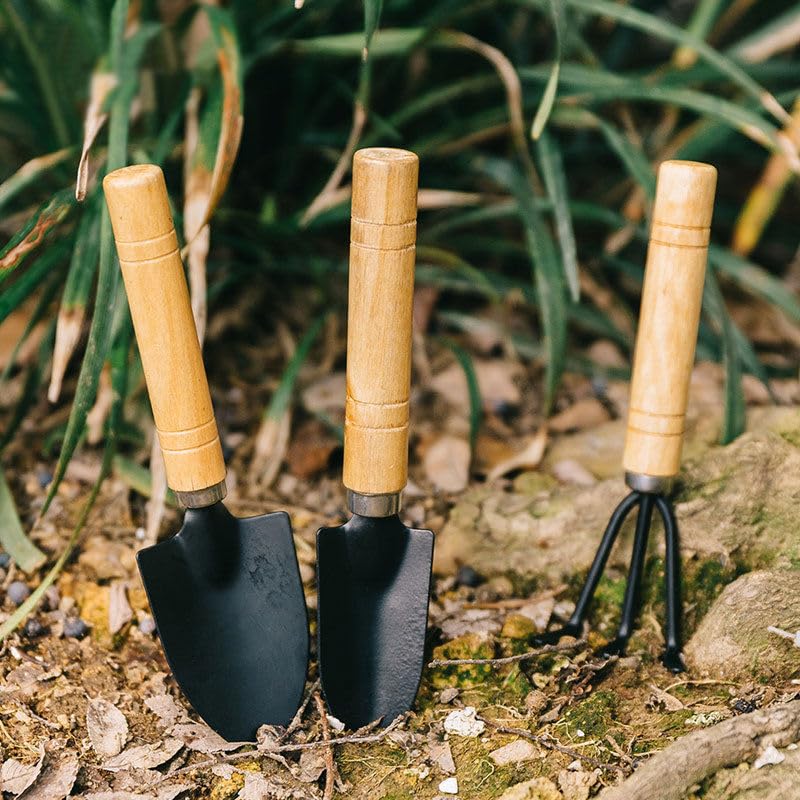 Mini Garden Tool Set 3 Piece, Iron Succulent Tools with Wooden Handles, Hand Trowel Transplant Shovel and Rake Kit for Planting, Repotting, Weeding, Indoor Outdoor Gardening