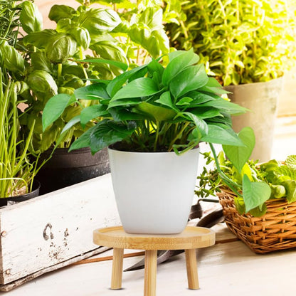 balacoo Solid Wood Plant Stand 2 Pack 5.11 inch Flower Pot Stand and Plant Riser for Indoor Use Wooden Holder for Living Room Balcony Desk Window Sill Natural Finish