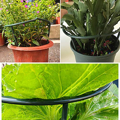 Mwellewm Plant Stakes Small Plant Supports for Indoor Plants Holder Sticks | 10 Pcs Half Round, Plant Rings, Plastic Cage, Short Stem, Flower Pot Climbing Trellis,for House Vegetable Outdoor 5.7x5.9Inch - size: 5.7 x 5.9inch